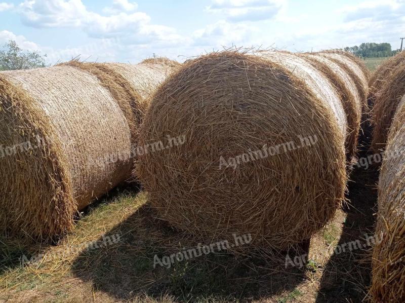 Strohballen zu verkaufen