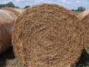 Straw bale for sale