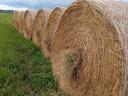 Hay bales for harvest 2024 for sale