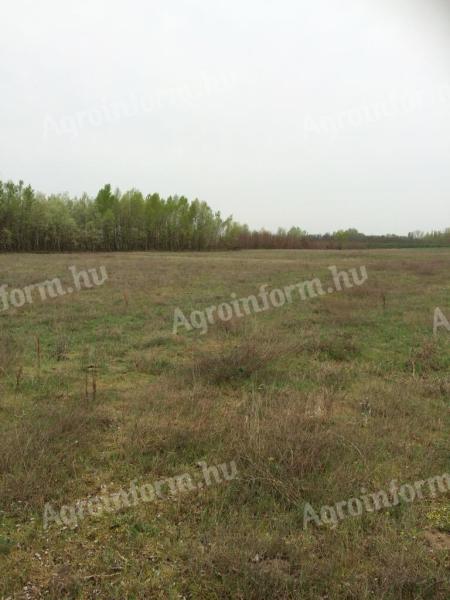 7,8 ha farm for sale in Fülöpháza