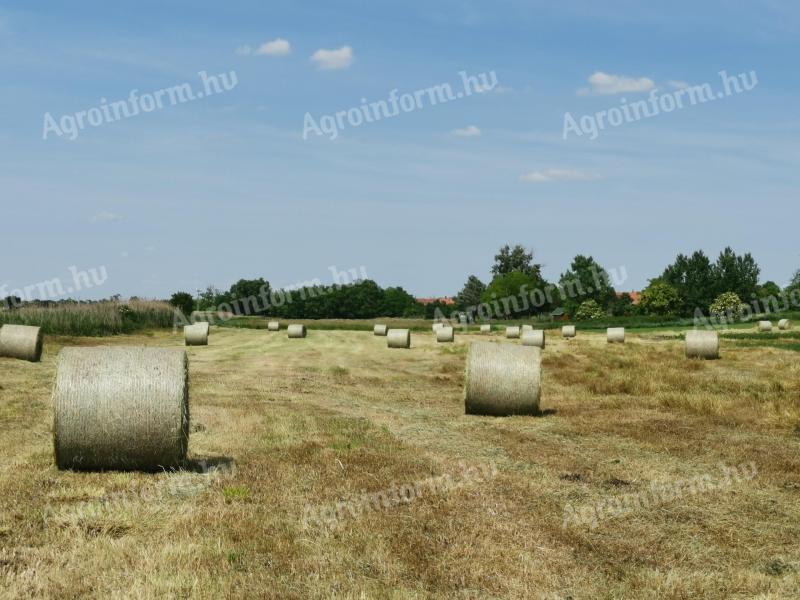 Wiesenheuballen zu verkaufen