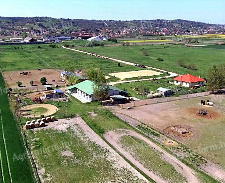 Reitschule mit etabliertem Kundenstamm, mit großer Weide, Győrújbarát – Ungarn