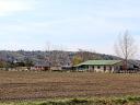 Well established riding stables with large pasture, Győrújbarát - Hungary