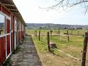 Well established riding stables with large pasture, Győrújbarát - Hungary