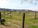 Reitschule mit etabliertem Kundenstamm, mit großer Weide, Győrújbarát – Ungarn