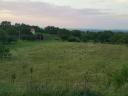 Almond plantation near Lake Balaton