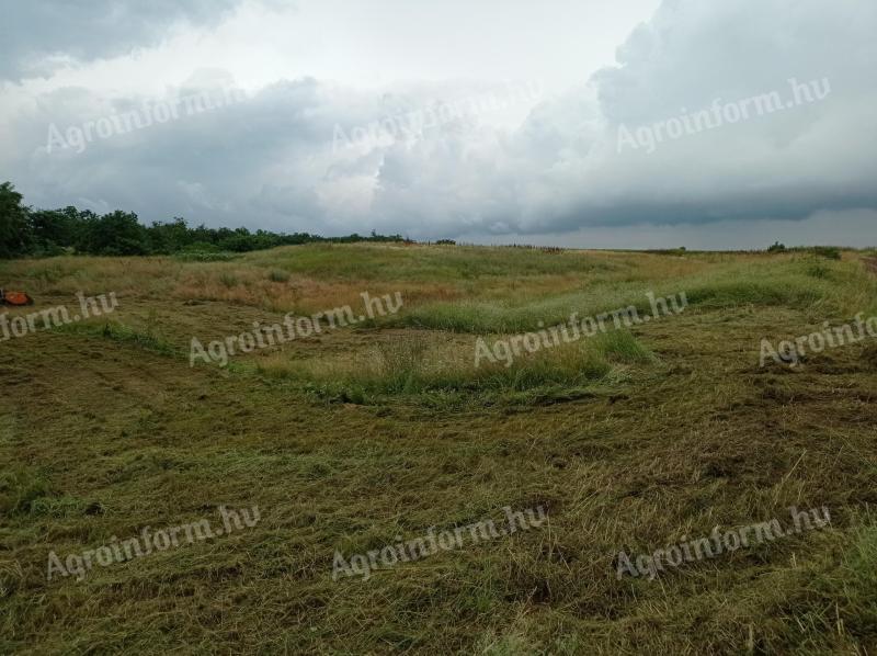 Pasture for rent in Maklar