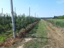 Agricultural business for sale with real estate and machinery