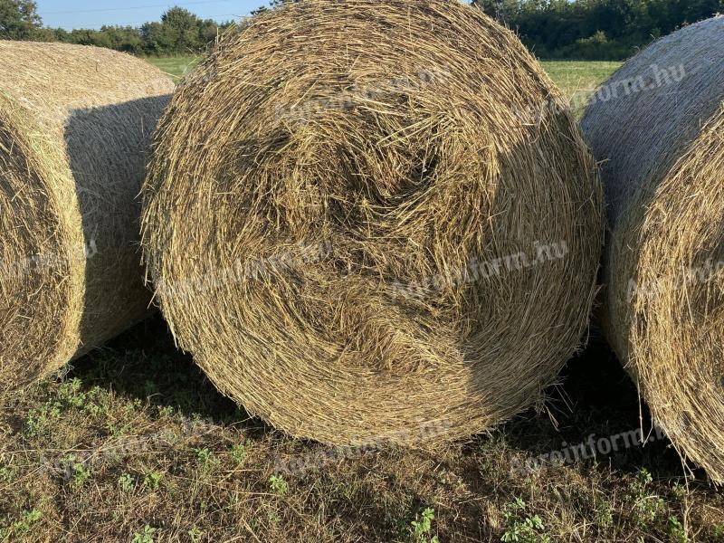 Bale of hay