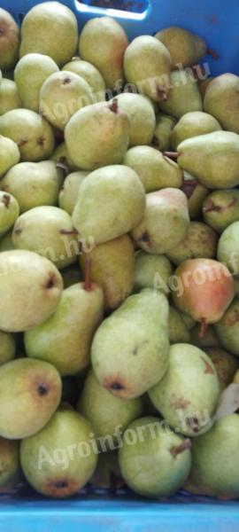 WILLIAMS PEAR