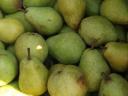 WILLIAMS PEAR