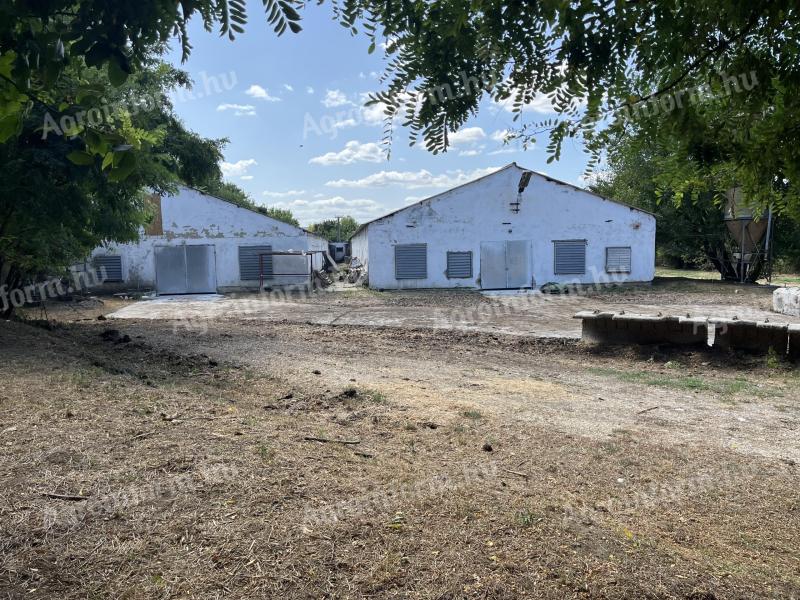 Sites classified as farm building and yard, built outside Neszmély