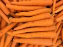 Carrots