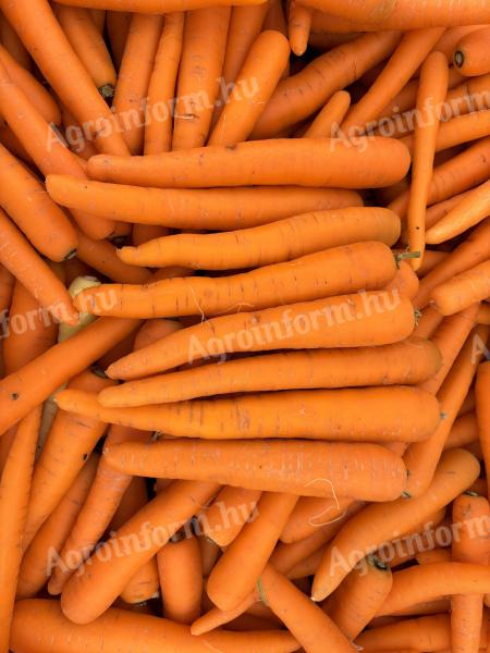 Carrots