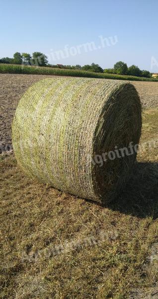 Lucerne, hay bale