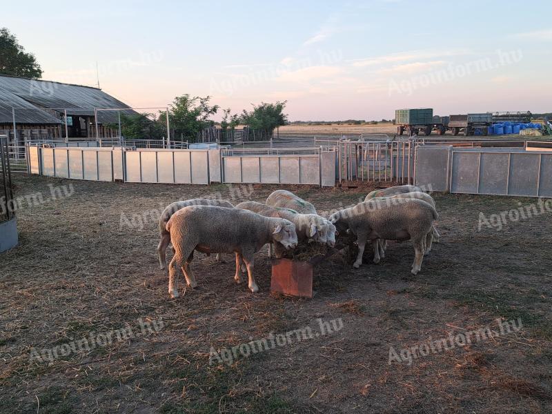 Ile-de-France godišnje stalne kupce na prodaju