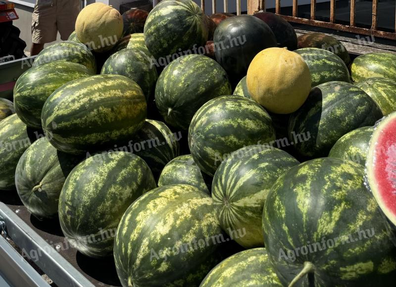 Wassermelone zu verkaufen