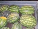 Watermelons for sale