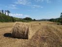 Bale of hay