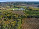 Productive walnut plantation for sale