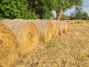 Ein runder Ballen Wiesenheu