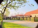 Farm manager - cattle farm