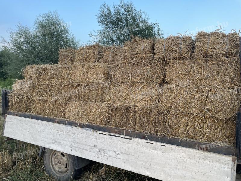 Ein kleiner Würfelballen aus Stroh