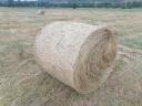 Bale of hay