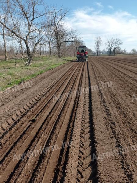 Aprómagvetés (hagyma,  retek,  sárgarépa,  gyökér stb)