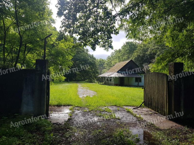 81000 m2 (8 Ha) telek,  elképesztően jó adottságokkal