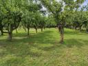 Gutshof Balaton-Felvidék, Bauernhof, Obstgarten, Weinberg, Kelterei