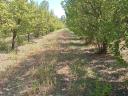 16 Hektar Land, verbunden durch eine Asphaltstraße, mitten im Land