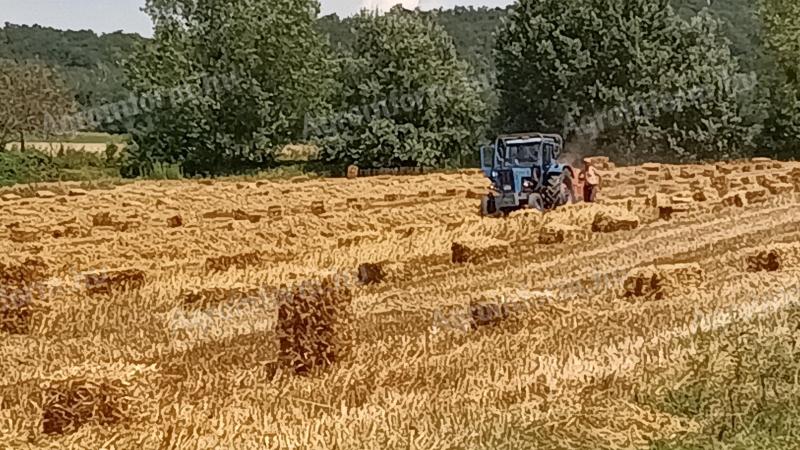 На продају лопта за коцкице