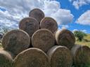 Forage, alfalfa and hay