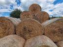 Forage, alfalfa and hay