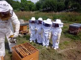 Beekeeper training