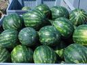 Wassermelone – Take it yourself-Verkauf