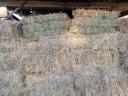 Fragrant, testicle cubes of baled hay for sale from under the roof, also available for delivery