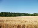 Arable land for sale