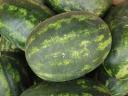 Zum Verkauf steht eine aus erster Ernte gesäte Wassermelone der Sorte Rubin