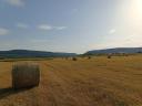 Meadow hay bale for sale