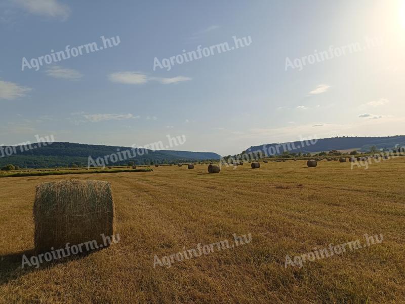 Meadow hay bale for sale