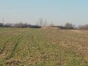 Szeged-Szentmihályi arable land for sale