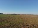 Szeged-Szentmihályi arable land for sale