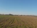 Szeged-Szentmihályi arable land for sale