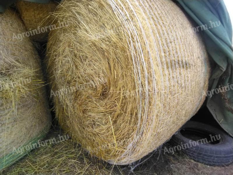 Hay bales for sale