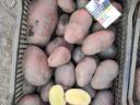 Potatoes for sale