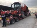 Picking beetroot