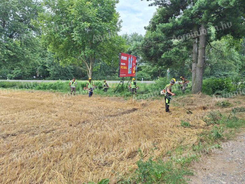 Koszenie trawy mechaniczne i ręczne