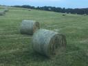 Round baled meadow hay for sale